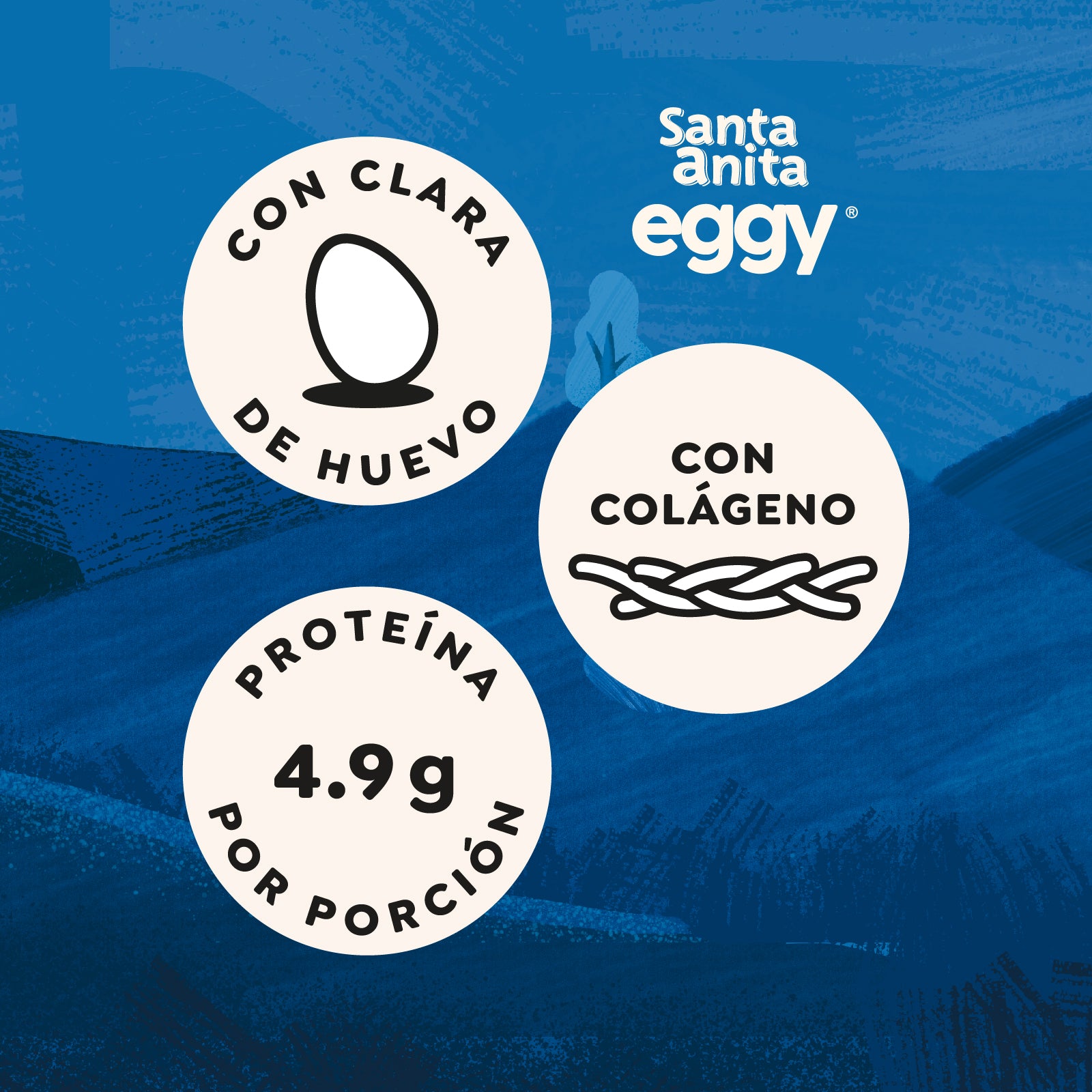 Santa Anita Eggy - Barra de cereal con proteína de huevo sabor a vainilla x 23gr