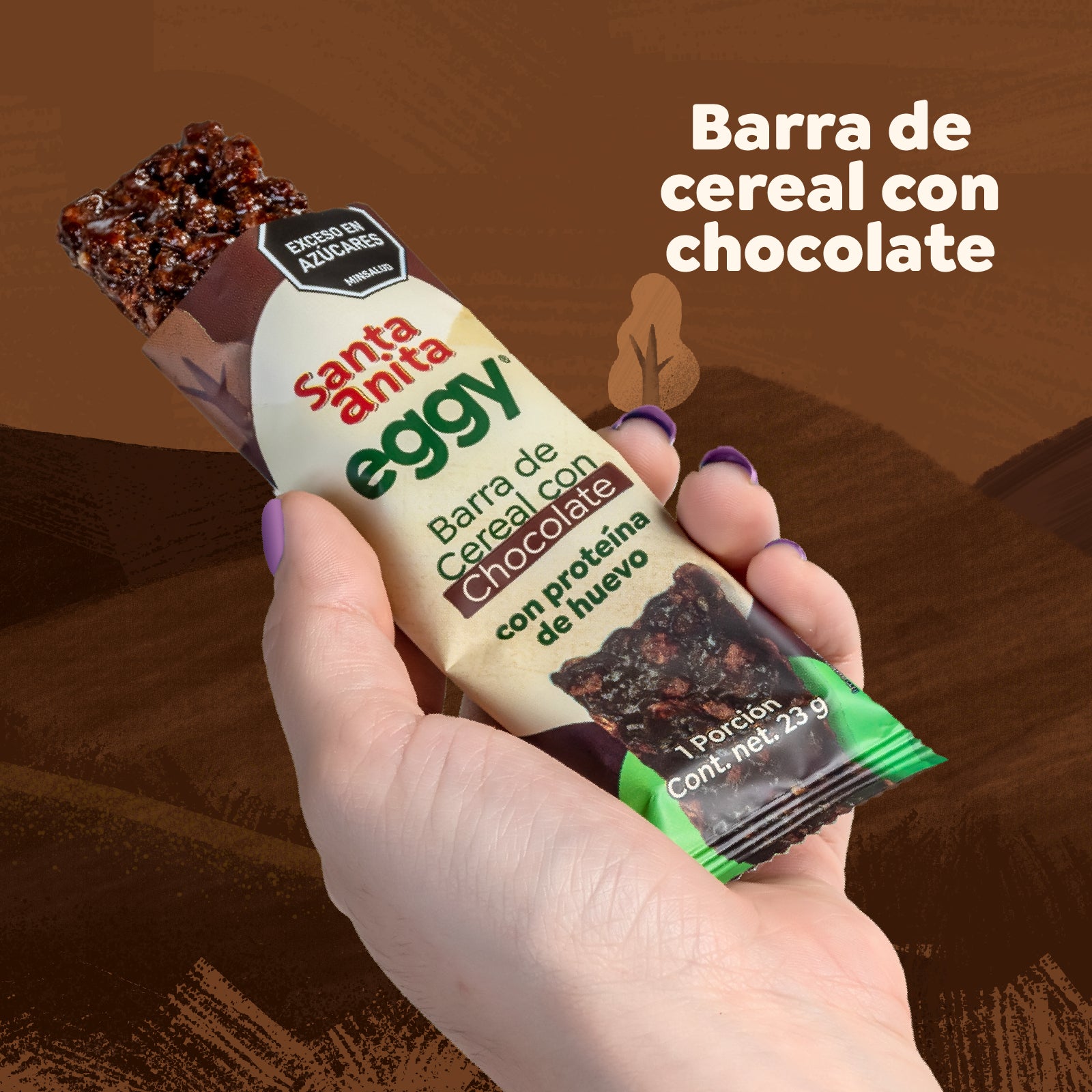 Santa Anita Eggy - Barra de cereal con proteína de huevo sabor a chocolate x 23gr